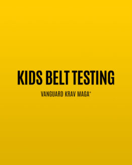Kids Krav Maga Belt Testing