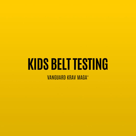 Kids Krav Maga Belt Testing
