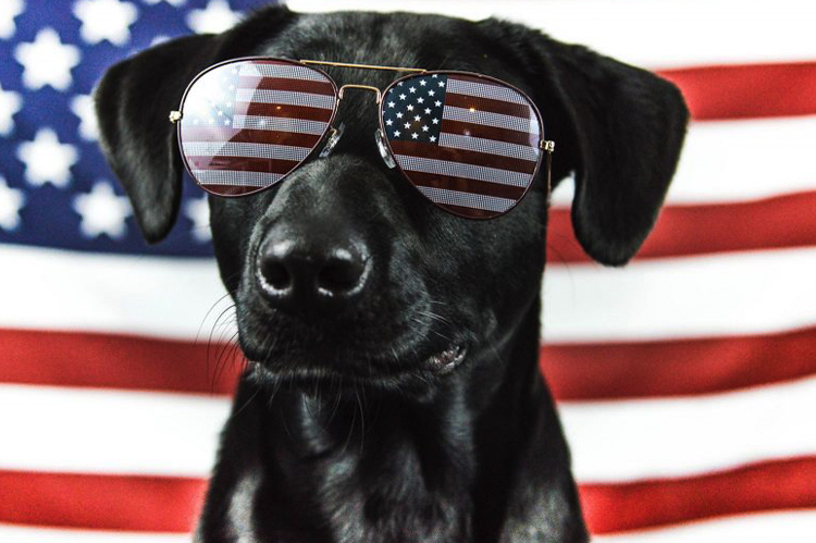 laborday-feat laborday-feat