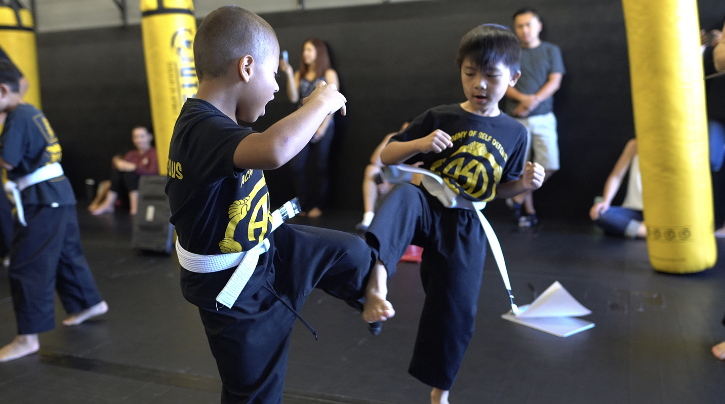 vkmkids-kravmaga-kick-defense vkmkids-kravmaga-kick-defense
