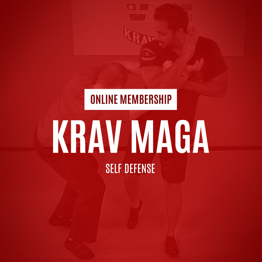 krav maga