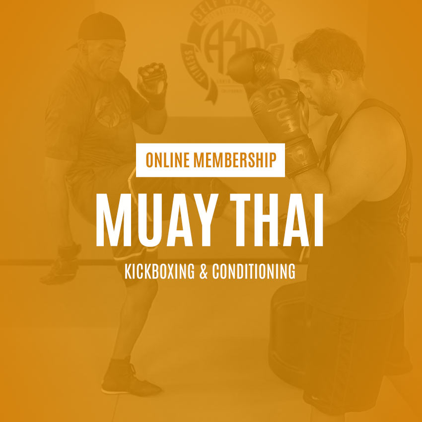 Muay Thai Kickboxing and Conditioning Program