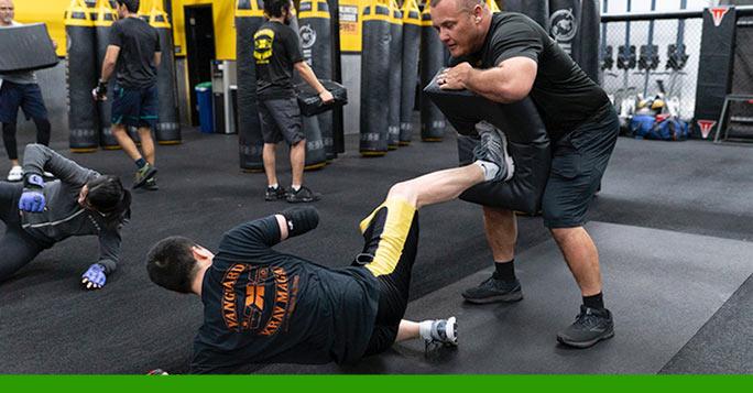 Krav Maga Rank Level 3 Thumbnail