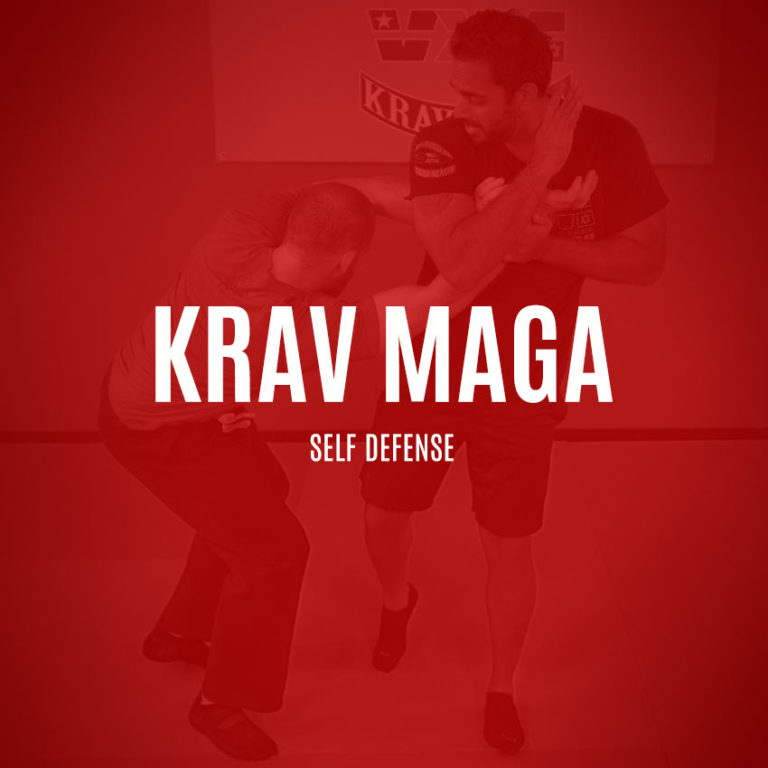 Krav Maga Videos, Online & In-Person Classes - Academy of Self Defense